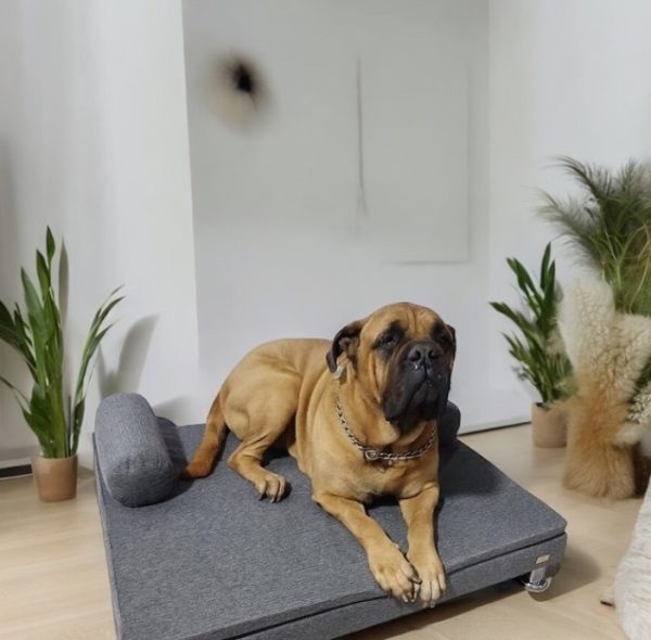 Sofá cama para perros grandes - Confort y Resistencia