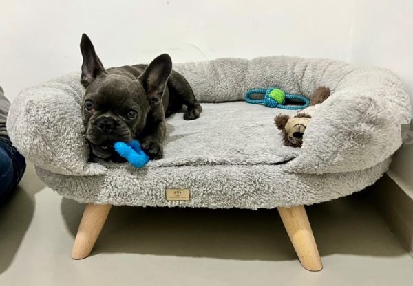 Futón para Perro Confortable