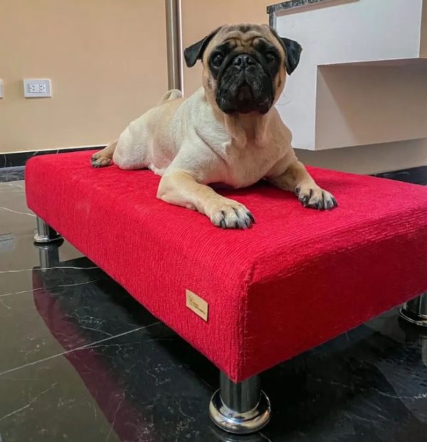 Futón para Perros - Comodidad y Estilo