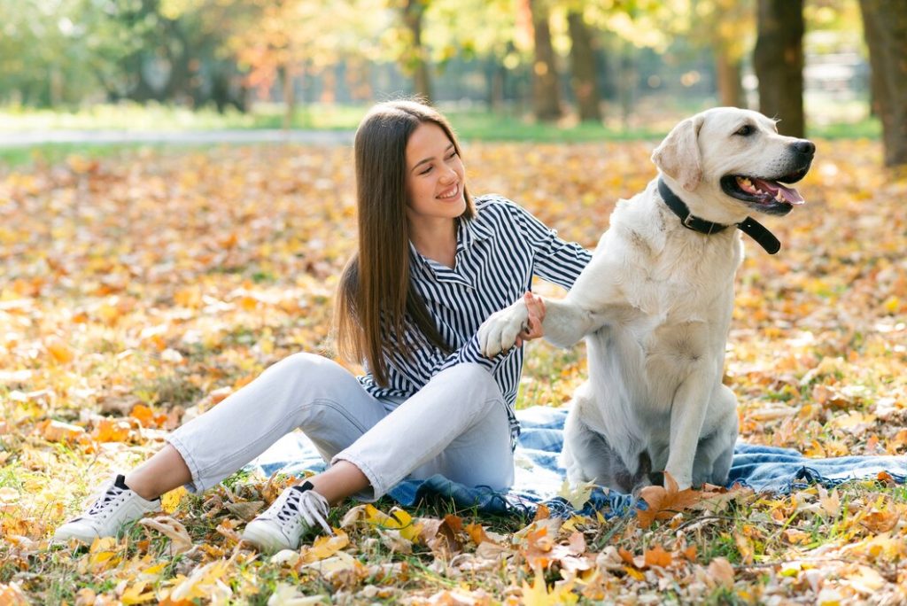 Actividades divertidas para hacer con tu perro en el parque