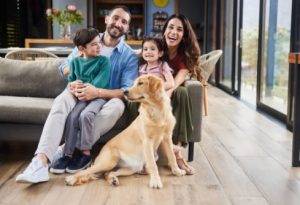 Cómo enseñar a tu perro a no saltar sobre las personas