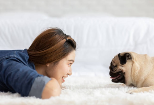 Cómo los Perros Expresan sus Emociones